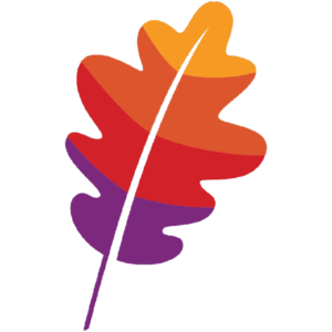 OpenMeetings logo